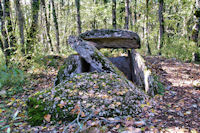 Le dolmen du Bois de Devs des Gleyettes