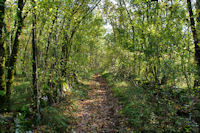 Le chemin vers Les Rosiers