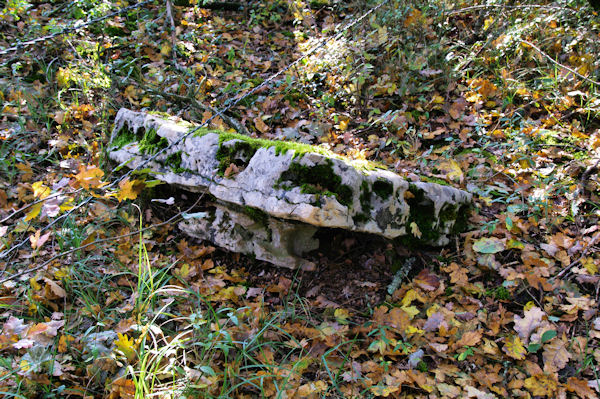 La table d_un dolmen vers Les Rosiers