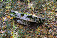 La table d'un dolmen vers Les Rosiers