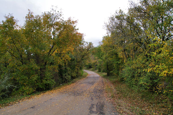 Chemin aux couleurs d_automne vers Bramaloup