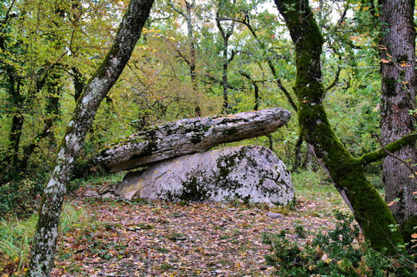 Un dolmen vers Bramaloup