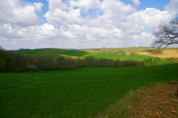 Le Piet dans le sloeil printanier depuis Les Taillades