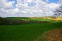 Le Piet dans le sloeil printanier depuis Les Taillades