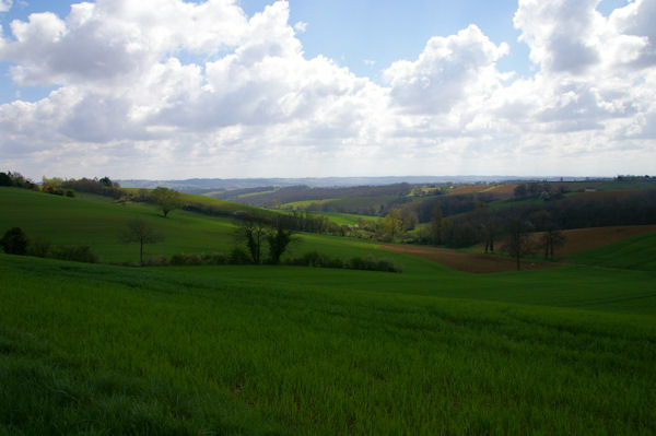 Le vallon du ruisseau du Cougin depuis les Taillades