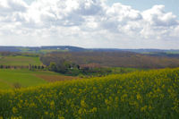 Camarade depuis Le Tachon