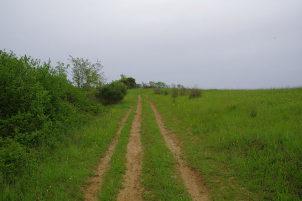 La monte vers En Bouzigot