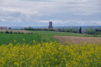 Gimont depuis Marmande, les Pyrenees en fond