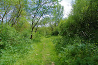 Le chemin au bord de la Gimone