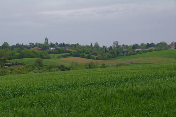 Paysage sur le Chemin d_Arles