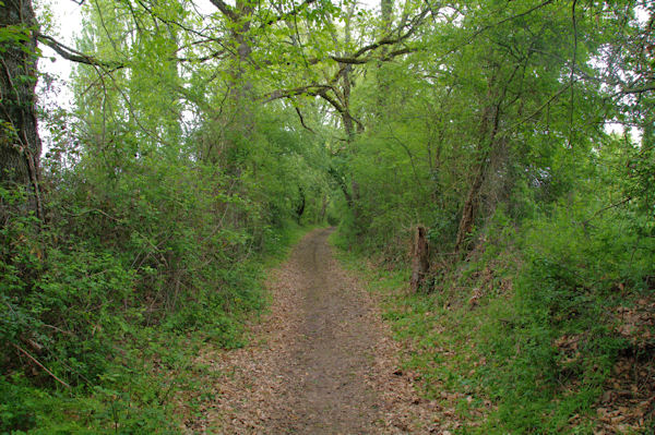 Le sentier aprs la D4, route de Samatan