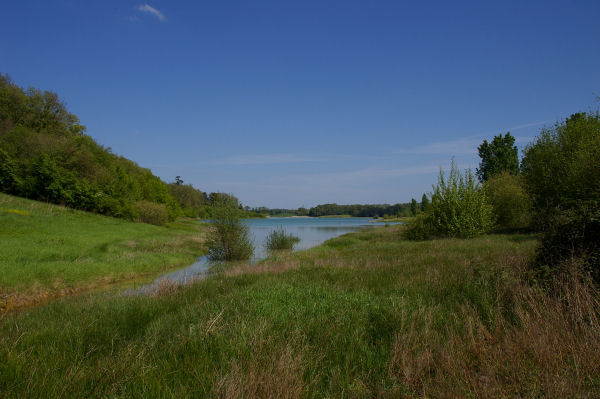 Vue depuis le fond de l'anse du ruisseau de Berdouat