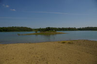 Un lot  canards