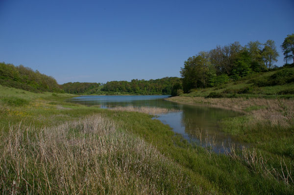 Vue du lac depuis l'anse du ruisseau du Moulin