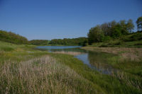 Vue du lac depuis l'anse du ruisseau du Moulin