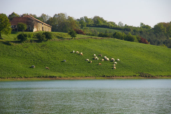 Vue de la ferme de Betpou