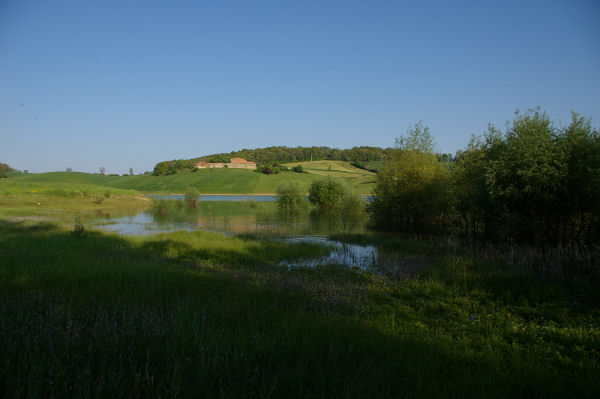 Vue depuis le fond de l'anse du ruisseau de Bruchon