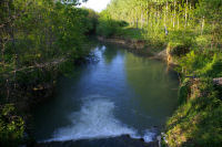 Depuis le pont enjambant la Gimone, sous les cotes de Bieil