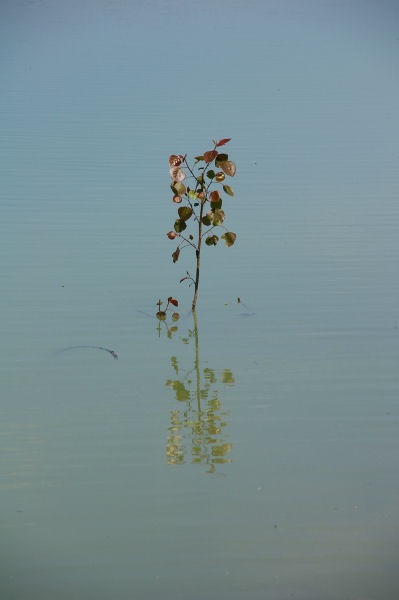 L'eau monte, effet d'onde