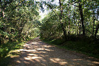 Le chemin arbor en descendant vers Maitre Arnaud