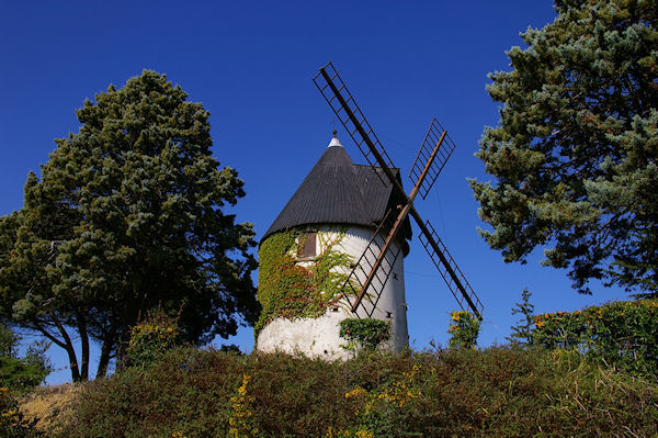 L'ancien Moulin magnifiquement restaur entre Pague et Picat