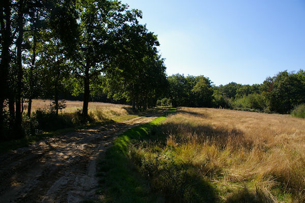 Le chemin remontant vers Le Piscou