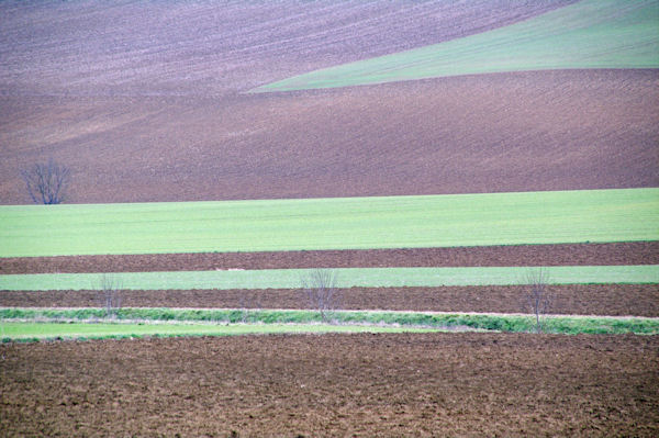 Des lignes