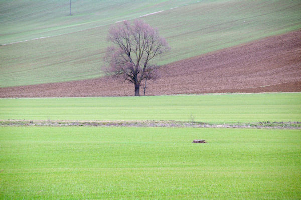 Elle est belle la campagne l_hivers