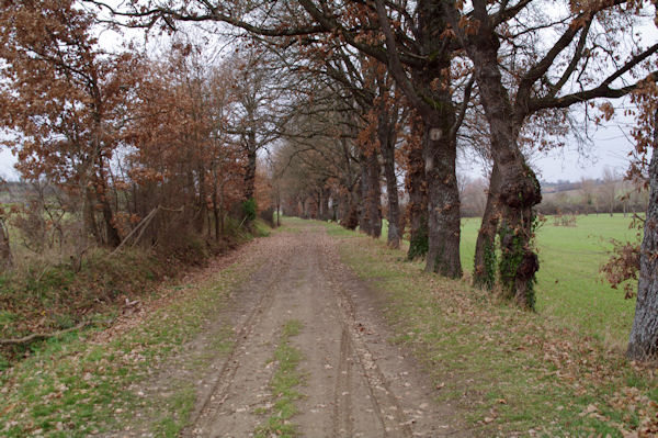 Le chemin vers La Borie