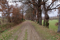 Le chemin vers La Borie