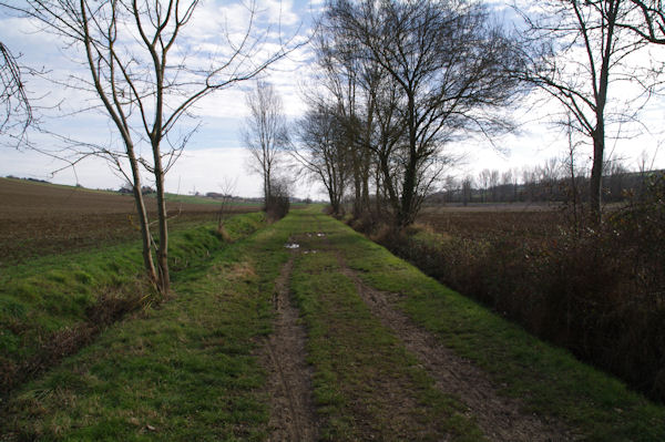 Le chemin dans la valle de la Marcaissonne sous Borde Grande