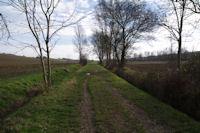 Le chemin dans la valle de la Marcaissonne sous Borde Grande