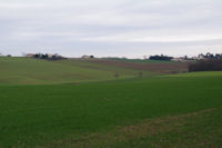 Le vallon du ruisseau des Bassouas depuis le bois de la Marcaissonne