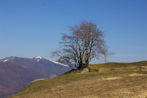 Paysage au dessus d_Artigue