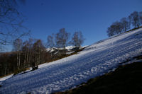 Les pentes enneigees au dessus d'Artigue, on distingue derriere les arbres le Pic de Burat