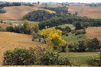 La Valle du Griffoulet