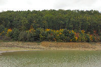 Le lac de la Balerme rive est