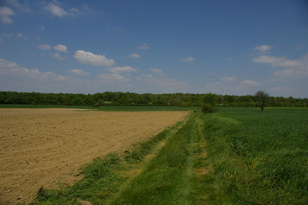 Le chemin menant  La Clde