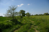 Le chemin vers Paulhac