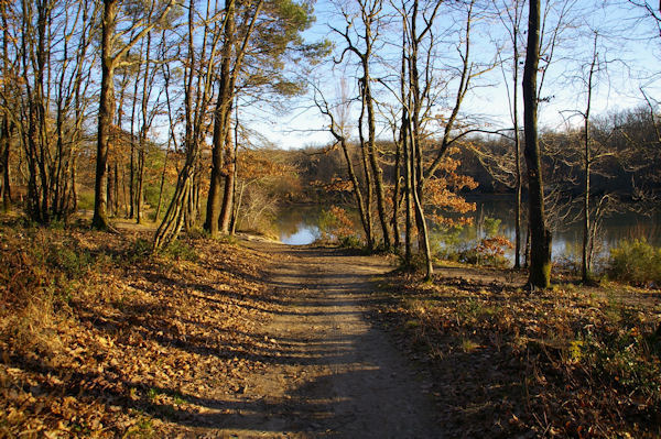 Le Lac de la Bordette en fort de Bouconne
