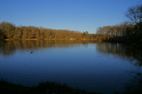 Le Lac de la Bordette en fort de Bouconne