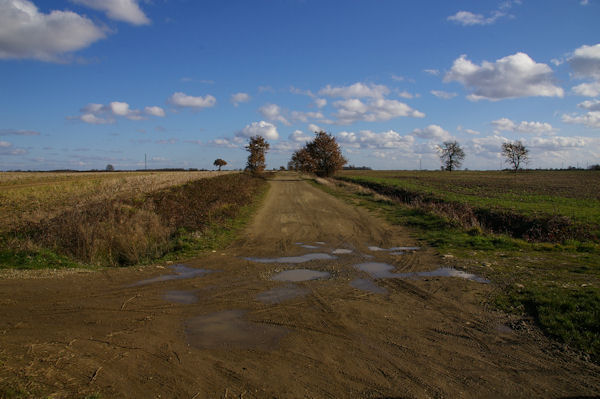 Le chemin du champ de tir dans la fort de Bouconne