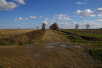 Le chemin du champ de tir dans la fort de Bouconne