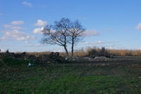 Les ruines de la baraque de Manau