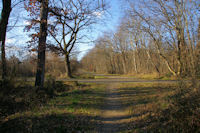 A la croise des chemins en fort de Bouconne