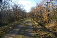 En arrivant a l'entree de Bichou en foret de Bouconne