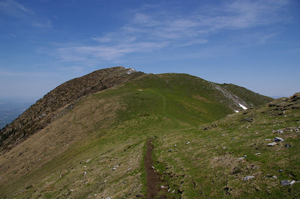 La crte entre le Sommet de Pique Poque et le Pic de Cagire