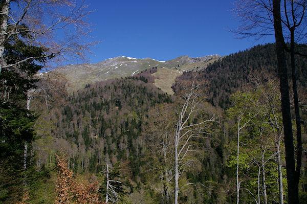 Le Sommet de Pique Poque et le Pic de Cagire depuis le chemin menant au Refuge de Larreix