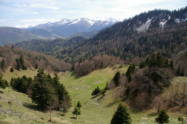 Jolie prairie en arrivant au Refuge de Larreix