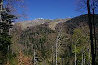 Le Sommet de Pique Poque et le Pic de Cagire depuis le chemin menant au Refuge de Larreix